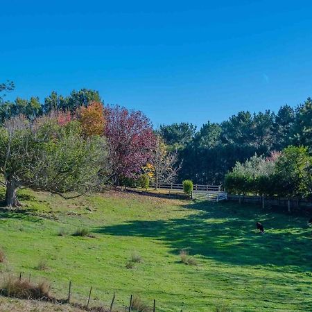 Cosy Lifestyle Cottage Perfect GetawayPukekohe エクステリア 写真