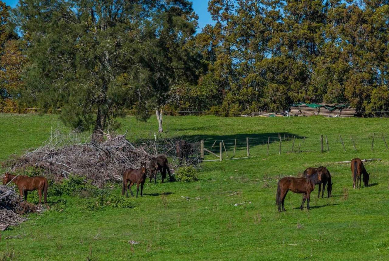 Cosy Lifestyle Cottage Perfect GetawayPukekohe エクステリア 写真