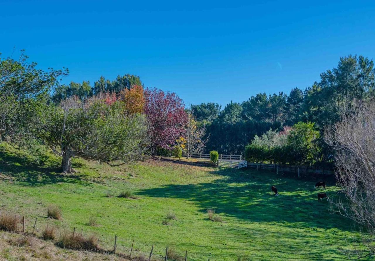 Cosy Lifestyle Cottage Perfect GetawayPukekohe エクステリア 写真